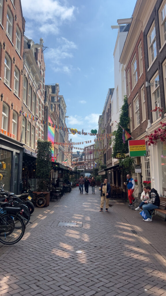 Busy street in Amsterdam