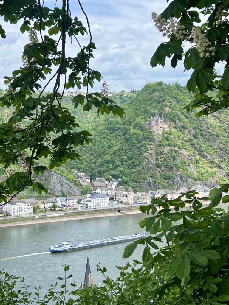 View of the Rhine River of a castle